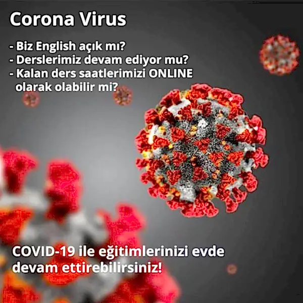 Corona Virus