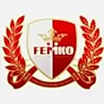 femko biz english